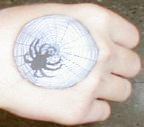 spider